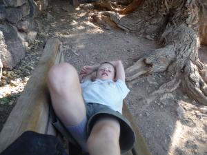 Adam in Indian Gardens: Resting in the shade